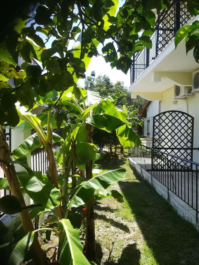 Apollo Hotel Kávos Екстериор снимка