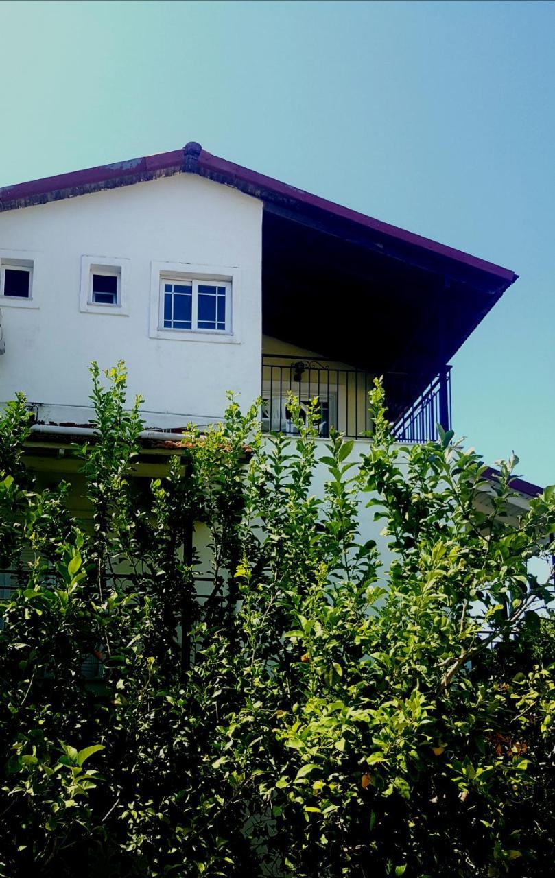 Apollo Hotel Kávos Екстериор снимка